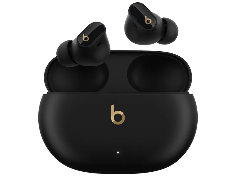 Beats Studio Buds + 本体