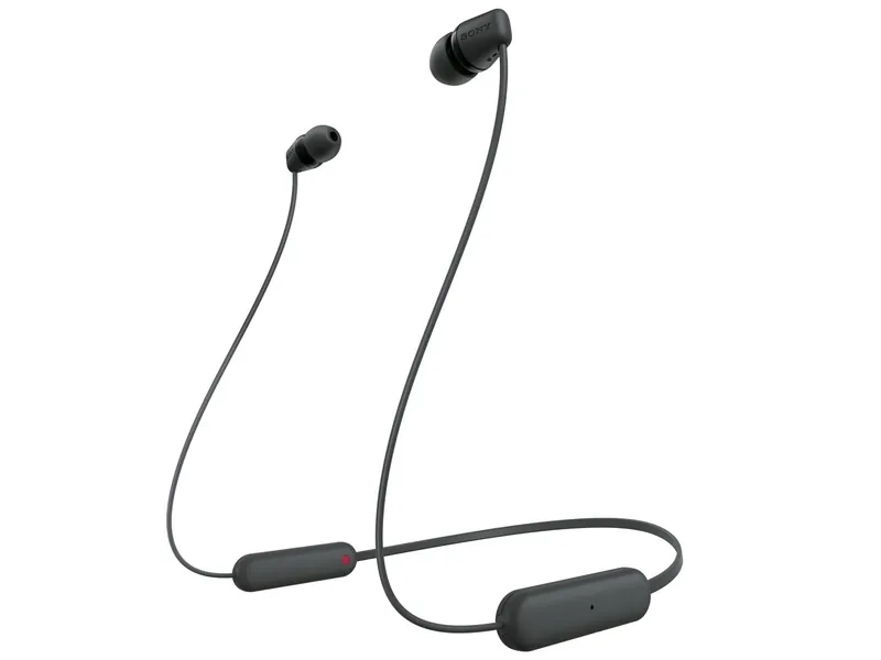 SONY WI-C100 製品画像